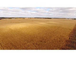 Property photo 6 - IMPORTANT INDIANA LAND AUCTION - 346+/- ACRES - 3 FARMS OFFERED IN 9 TRACTS IN WAYNE COUNTY, INDIANA